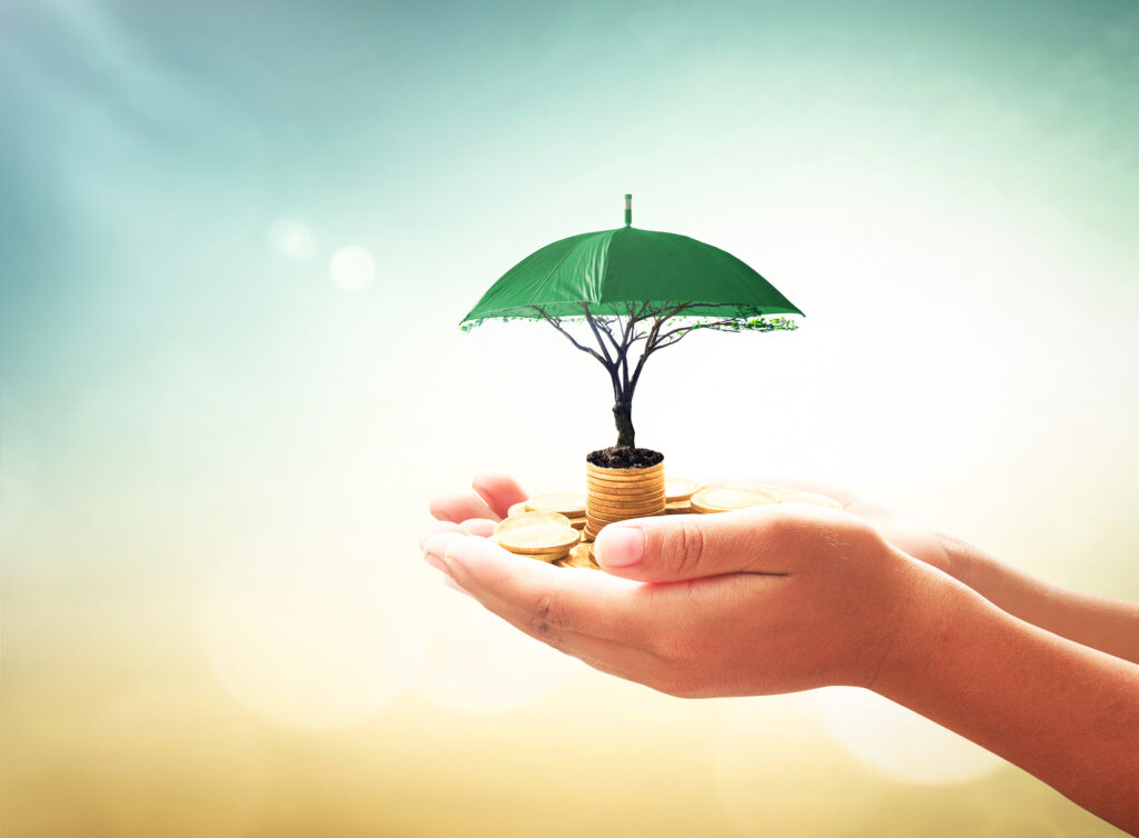 Human hands holding stacks of golden coins and green umbrella of tree on blurred nature background
